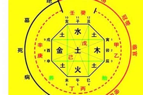 神煞|八字命理—神煞指的是什么？（基础）